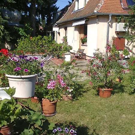 Guest house Alpesi Trimmel Vendeghaz Sopron